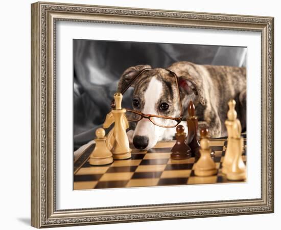 Puppy To Play Chess-Lilun-Framed Photographic Print