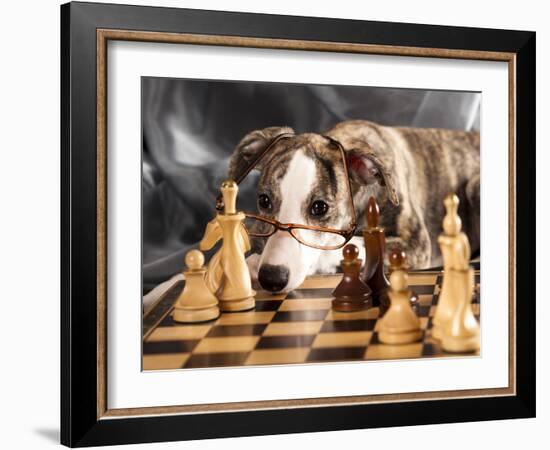 Puppy To Play Chess-Lilun-Framed Photographic Print