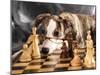 Puppy To Play Chess-Lilun-Mounted Photographic Print