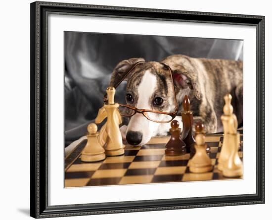 Puppy To Play Chess-Lilun-Framed Photographic Print