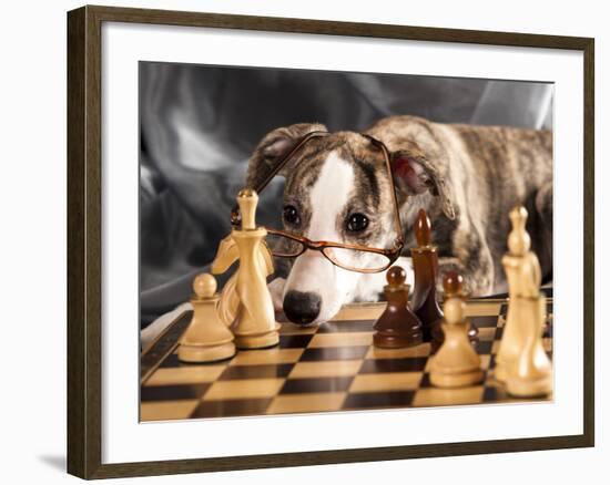 Puppy To Play Chess-Lilun-Framed Photographic Print