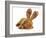 Puppy Wearing Bunny Ears - Dog De Bordeaux Wearing Easter Bunny Ears on White Background-Willee Cole-Framed Photographic Print