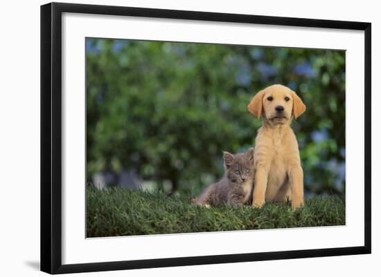 Puppy with Kitten-DLILLC-Framed Photographic Print