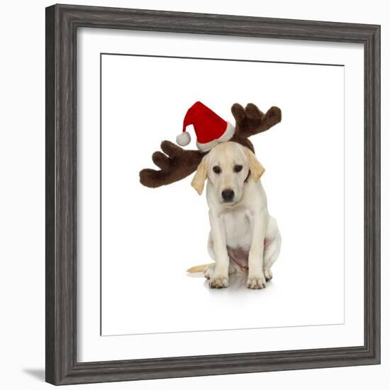 Puppy with Santa Hat and Reindeer Ears-Lew Robertson-Framed Photographic Print