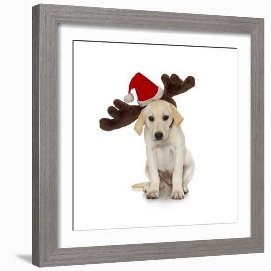 Puppy with Santa Hat and Reindeer Ears-Lew Robertson-Framed Photographic Print