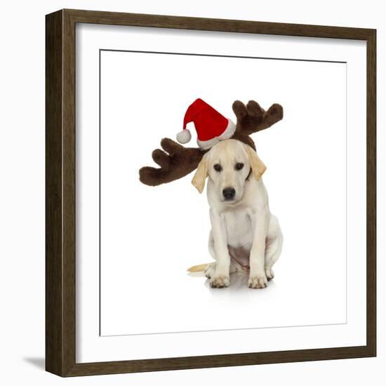 Puppy with Santa Hat and Reindeer Ears-Lew Robertson-Framed Photographic Print