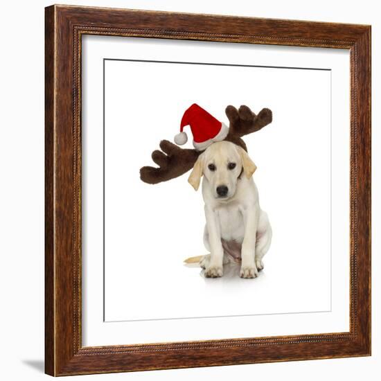 Puppy with Santa Hat and Reindeer Ears-Lew Robertson-Framed Photographic Print