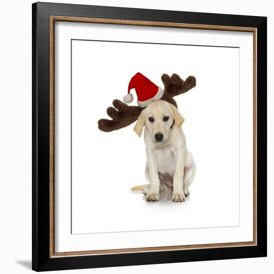 Puppy with Santa Hat and Reindeer Ears-Lew Robertson-Framed Photographic Print