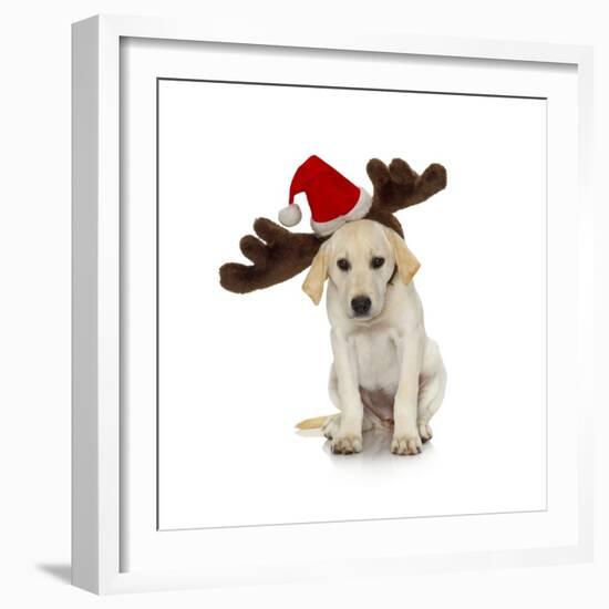 Puppy with Santa Hat and Reindeer Ears-Lew Robertson-Framed Photographic Print