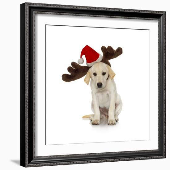 Puppy with Santa Hat and Reindeer Ears-Lew Robertson-Framed Photographic Print