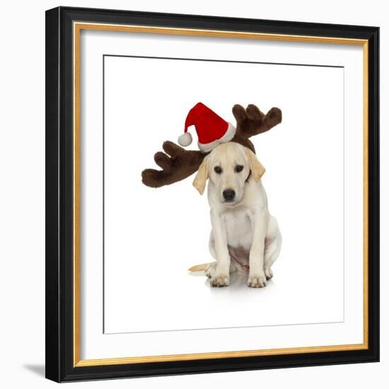 Puppy with Santa Hat and Reindeer Ears-Lew Robertson-Framed Photographic Print