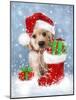 Puppy with Santa's Hat-MAKIKO-Mounted Giclee Print