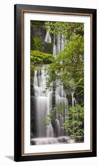 Purakanui Falls, Catlins, Otago, South Island, New Zealand-Rainer Mirau-Framed Photographic Print