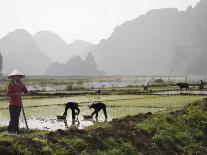 Rice Planters Working in Paddy Fields, Vietnam, Indochina, Southeast Asia-Purcell-Holmes-Framed Photographic Print