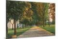 Premium Giclee Print