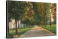 Stretched Canvas Print