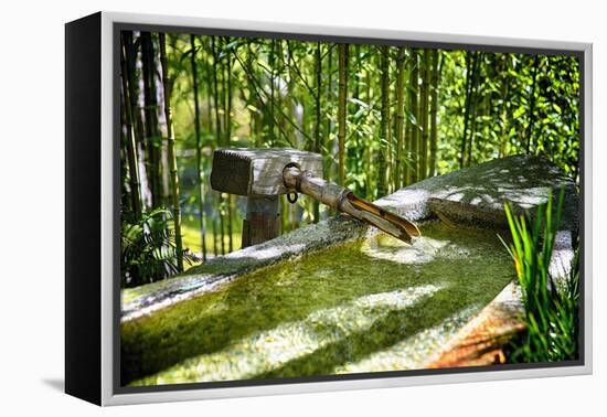 Pure Bamboo Spring-George Oze-Framed Premier Image Canvas