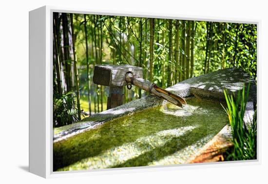 Pure Bamboo Spring-George Oze-Framed Premier Image Canvas
