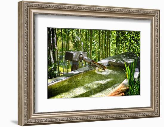 Pure Bamboo Spring-George Oze-Framed Photographic Print