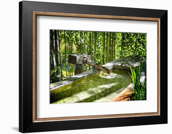 Pure Bamboo Spring-George Oze-Framed Photographic Print