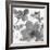 Pure Days I-Sandra Jacobs-Framed Giclee Print
