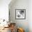 Pure Days II-Sandra Jacobs-Framed Giclee Print displayed on a wall