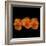 Pure Eye Candy - Orange Violets 1-Magda Indigo-Framed Photographic Print