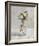 Pure Flowers-Steven Johnson-Framed Giclee Print