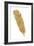 Pure Gold Feather V-Chris Paschke-Framed Art Print