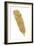 Pure Gold Feather V-Chris Paschke-Framed Art Print