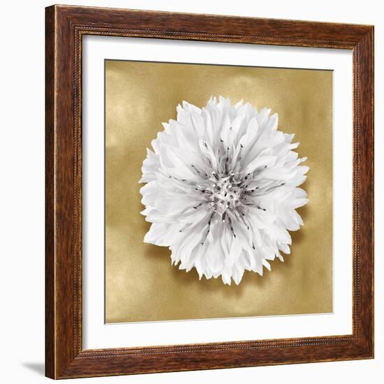 Pure IV-Caroline Kelly-Framed Art Print