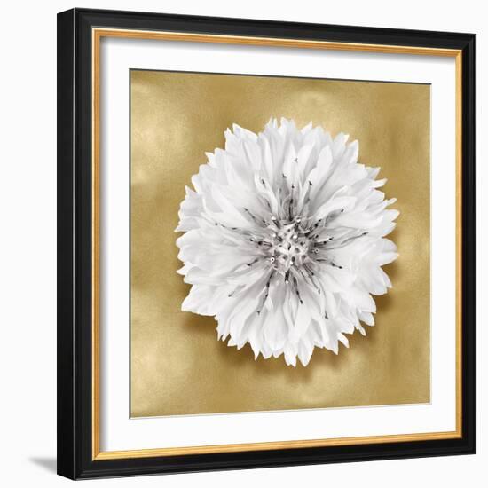 Pure IV-Caroline Kelly-Framed Art Print