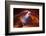 Pure Photodelight 2-Roman Golubenko-Framed Photographic Print