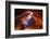 Pure Photodelight 2-Roman Golubenko-Framed Photographic Print