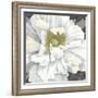 Pure Poppy I-Kate Mawdsley-Framed Giclee Print