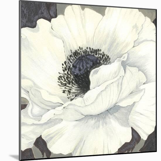 Pure Poppy II-Kate Mawdsley-Mounted Giclee Print