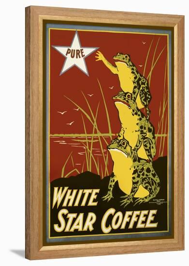 Pure White Star Coffee, Frogs-null-Framed Premier Image Canvas