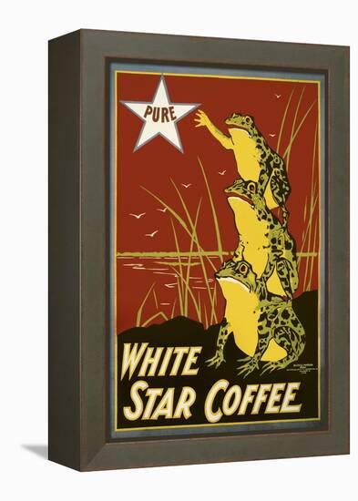 Pure White Star Coffee, Frogs-null-Framed Premier Image Canvas