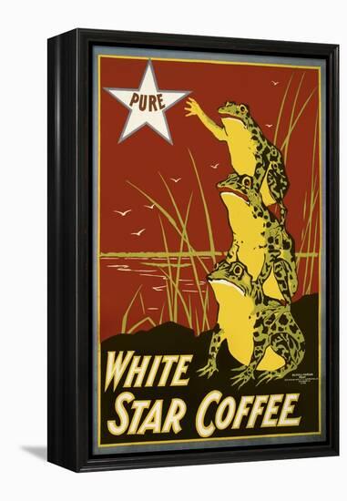 Pure White Star Coffee, Frogs-null-Framed Premier Image Canvas