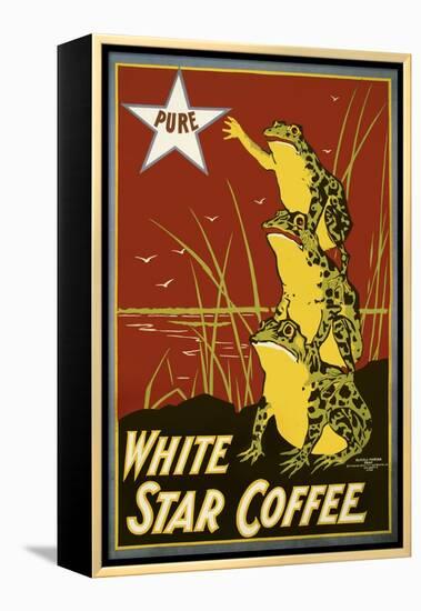 Pure White Star Coffee, Frogs-null-Framed Premier Image Canvas