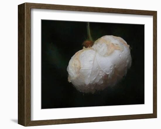 Pure White-Helen White-Framed Photographic Print