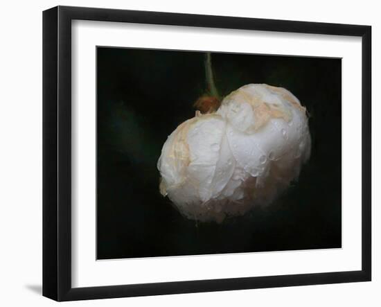 Pure White-Helen White-Framed Photographic Print