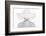 Pure White-Pauline Pentony MA-Framed Photographic Print