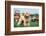 Purebred Curly Poodle Dog, Standing on the Green Grass in the Yard. Photo of a Cute Puppy from Belo-Linas T-Framed Photographic Print