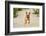 Purebred Dog Outdoors on a Summer Day.-Mikkel Bigandt-Framed Photographic Print