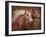 Purebred I-Ozana Sturgeon-Framed Photographic Print