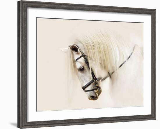 Purebred II-Ozana Sturgeon-Framed Photographic Print