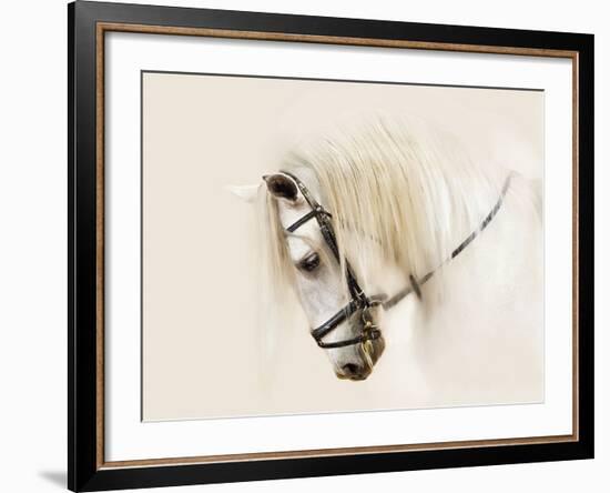 Purebred II-Ozana Sturgeon-Framed Photographic Print