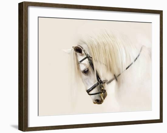 Purebred II-Ozana Sturgeon-Framed Photographic Print