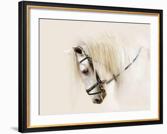 Purebred II-Ozana Sturgeon-Framed Photographic Print